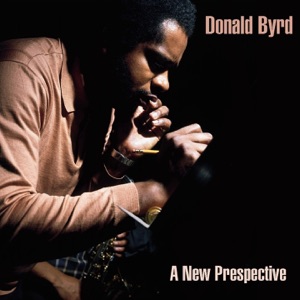 Cover of A New Perspective
