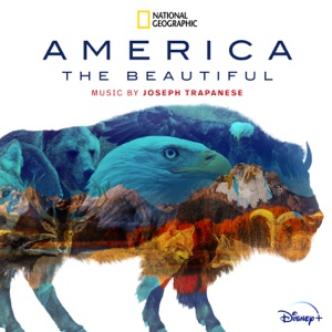 Cover of America the Beautiful: Original Soundtrack