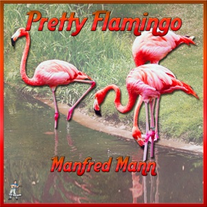 Cover of Pretty Flamingo