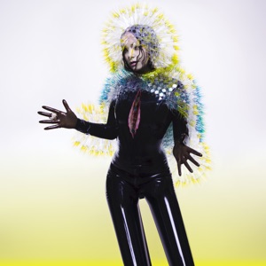 Hoes van Vulnicura