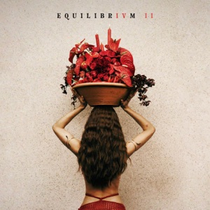 Hoes van EQUILIBRIVM