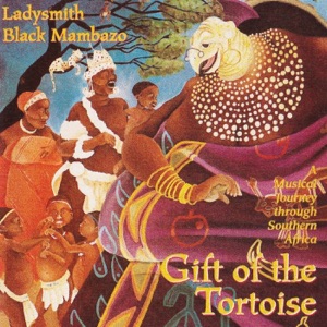 Hoes van Gift of the Tortoise