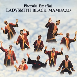 Hoes van Phezulu Emafini