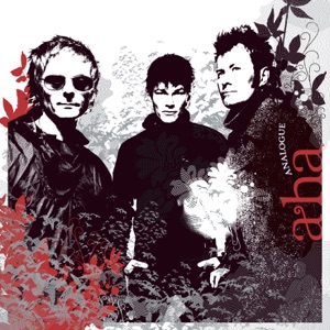 Cover of Analogue