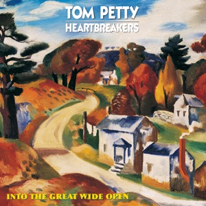 Cover of Into the Great Wide Open