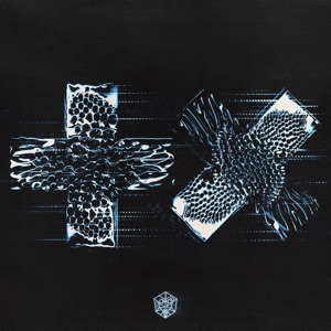 Cover of Sentio