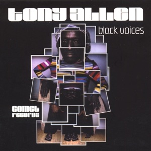 Cover of Black Voices