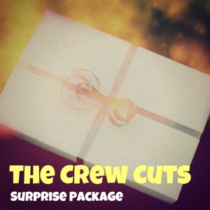 Cover of Surprise Package