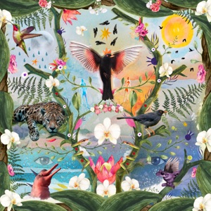 Cover of The World Meets Los Mirlos