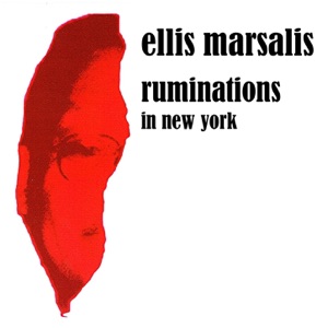 Cover of Ruminations in New York