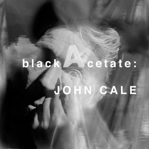 Cover of Black Acetate