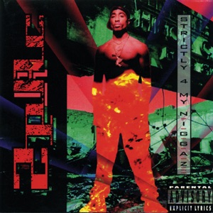 Hoes van Strictly 4 My N.I.G.G.A.Z…