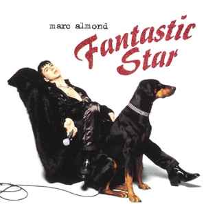 Cover of Fantastic Star