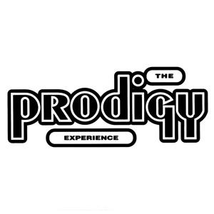 Cover of Experience