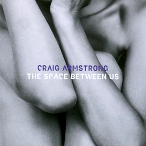 Cover of The Space Between Us
