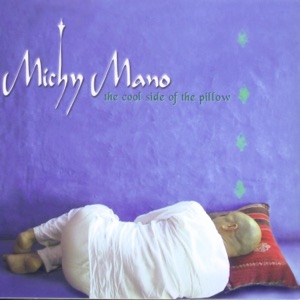 Cover of The Cool Side of the Pillow