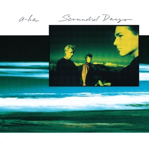 Cover of Scoundrel Days