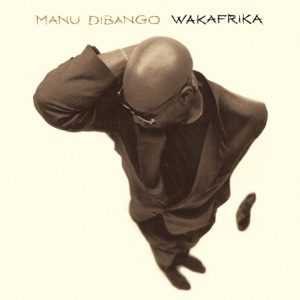 Hoes van Wakafrika