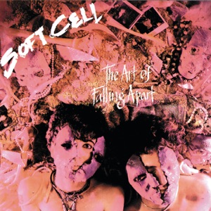 Cover of The Art of Falling Apart