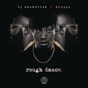 Cover of ROUGH DANCE