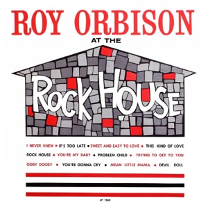 Cover of At the Rock House