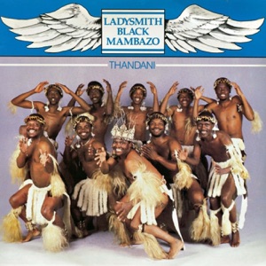 Cover of Thandani