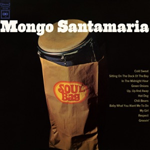 Cover of Soul Bag