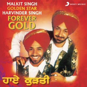 Cover of Forever Gold