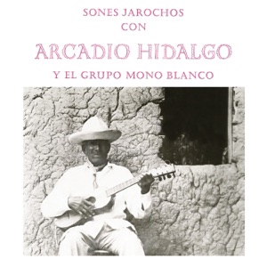 Cover of Sones jarochos