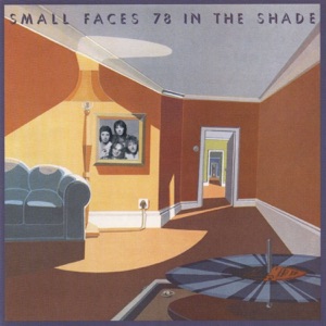 Cover of 78 in the Shade