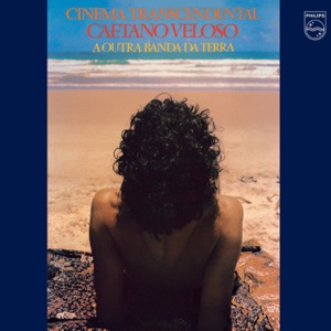 Cover of Cinema Transcendental