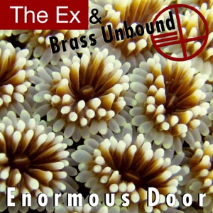 Hoes van Enormous Door