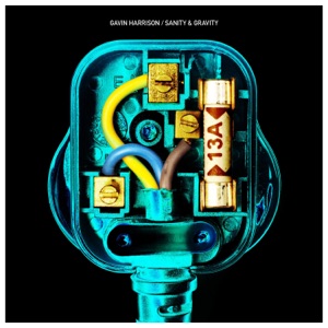 Cover of Sanity and Gravity