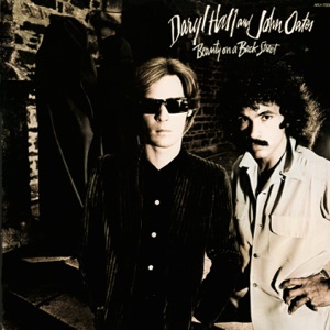 Cover of Beauty on a Back Street