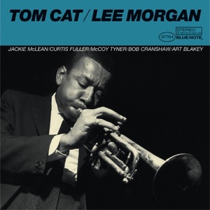 Cover of Tom Cat