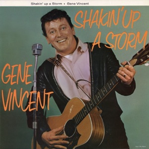 Cover of Shakin’ Up a Storm
