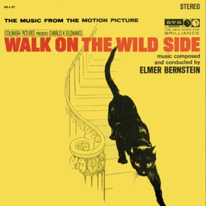 Cover of Walk on the Wild Side