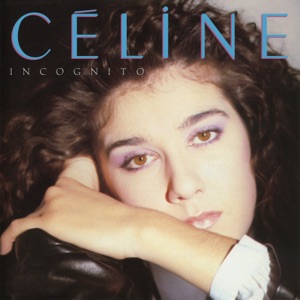 Cover of Incognito
