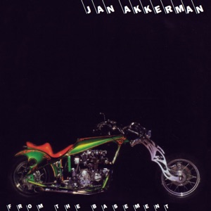 Cover of From the Basement