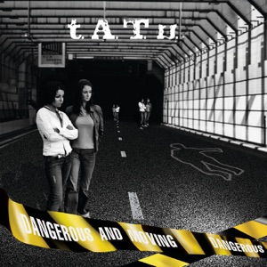 Cover of В Поднебесной