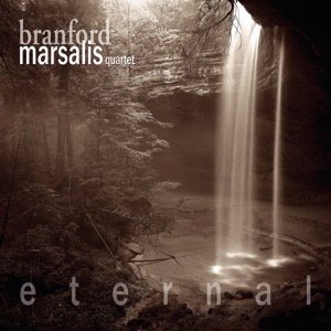 Cover of Eternal