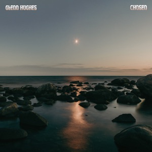 Cover of Chosen