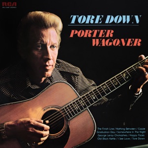 Cover of Tore Down