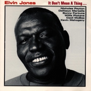 Cover of It Don't Mean a Thing