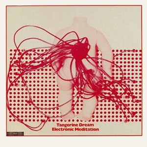 Cover of Electronic Meditation