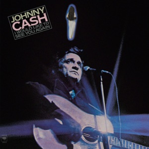 Cover of I Would Like to See You Again