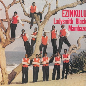 Hoes van Ezinkulu