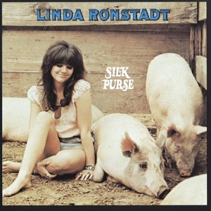 Cover of Silk Purse