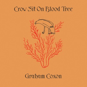Hoes van Crow Sit on Blood Tree
