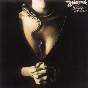 Cover of Slide It In